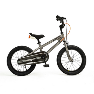 RoyalBaby Freestyle 7.0 Kids Bike 20" for 8-12 Years Old (20B-GP) in Silver