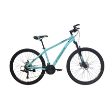 Load image into Gallery viewer, Trinx M116 Alloy Mountain Bike 29"- Brown/Red