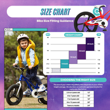 Load image into Gallery viewer, Royalbaby Galaxy Fleet Plus Magnesium 16&#39;&#39; Kids Bike (RB16-27) -Pink