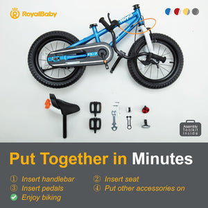 RoyalBaby Freestyle 7.0 Kids Bike 12" (12B-GP) in Silver