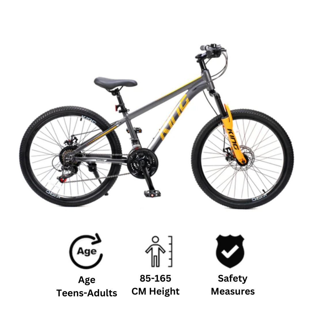 RoyalBaby King 24'' Kids Bike (24-29) -SILVER – RoyalBaby Philippines