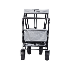 Load image into Gallery viewer, Chaser Breeze Wagon Comfort Stroller Cart  with Cushion for Outdoor Push &amp; Pull Stroller with 4 Big Wheels