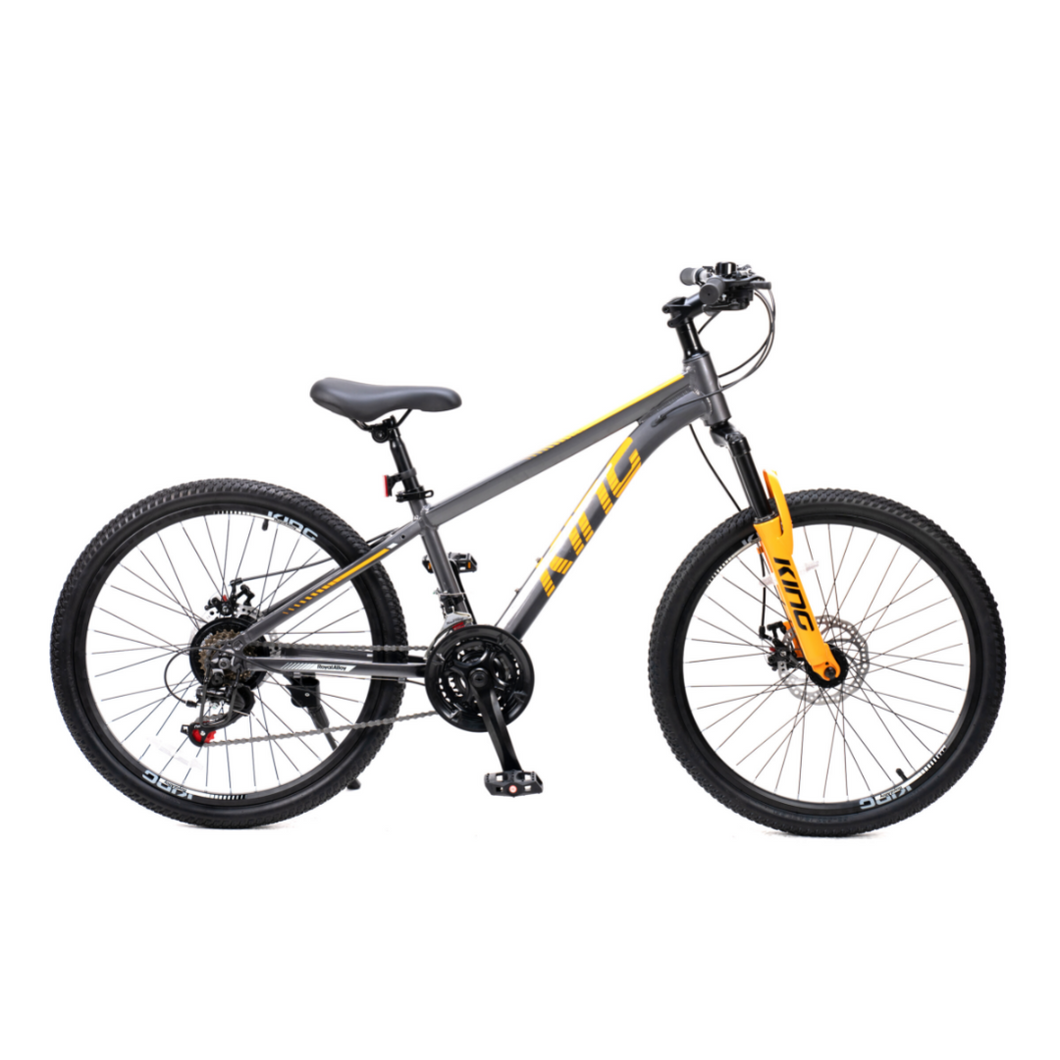 RoyalBaby King 24'' Kids Bike (24-29) -SILVER