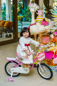 RoyalBaby Kids Bike 12" Pink for 2-5 Years Old Little Swan Girls Bike