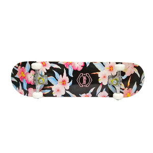 Chaser 31" Wooden Maple Skateboard(6120)-AMRGOT