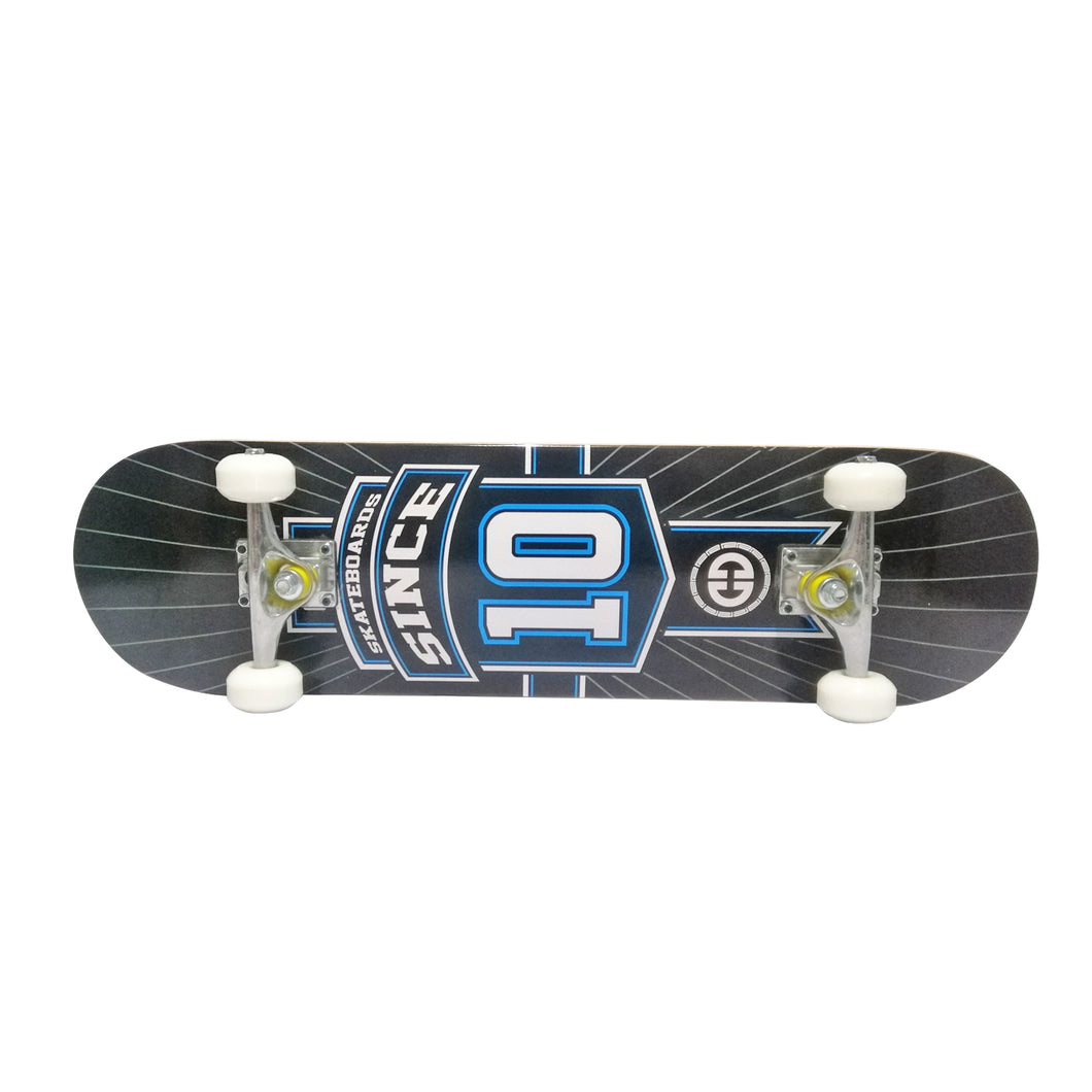 Chaser 31