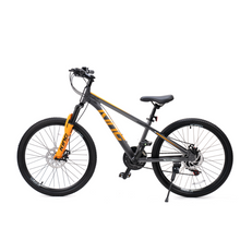 Load image into Gallery viewer, RoyalBaby King 24&#39;&#39; Kids Bike (24-29) -SILVER