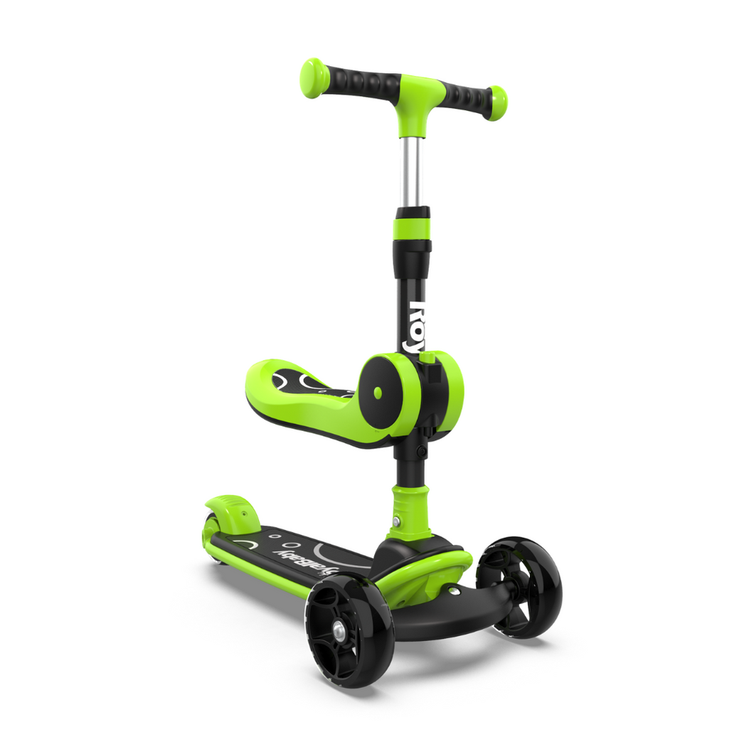 RoyalBaby 2 in 1 Toddler Kids Scooter w/ Seat(089M)-Green