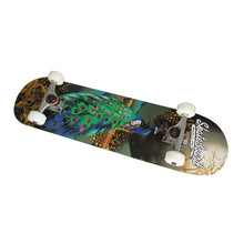 Load image into Gallery viewer, Chaser 31&quot; Wooden Maple Skateboard (E066) -Peacock