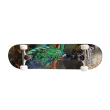 Load image into Gallery viewer, Chaser 31&quot; Wooden Maple Skateboard (E066) -Peacock