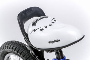 RoyalBaby Kids Bike 12" Blue for 2-5 Years Old BMX Freestyle