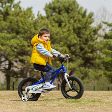 Load image into Gallery viewer, RoyalBaby Kids Bike Galaxy Fleet Plus Magnesium 16&#39;&#39; Red for 4-7 Years Old (RB16-27)
