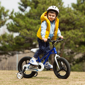 RoyalBaby Kids Bike Galaxy Fleet Plus Magnesium 18'' Red for 6-9 Years Old (RB16-27)