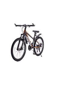RoyalBaby RoyAlloy Mountain Bike 24" 21-S(24-25)-Black