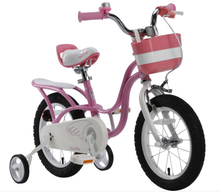 Load image into Gallery viewer, RoyalBaby Kids Bike 12&quot; Pink for 2-5 Years Old Little Swan Girls Bike
