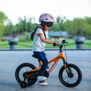 RoyalBaby Moon 5 Economic Magnesium Kids Bike 16''(CM16-5)-Red