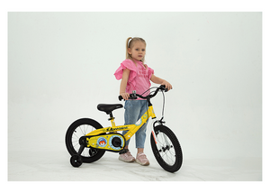 RoyalBaby Chipmunk Kids Bike 12" Pink for 2-5 Years Old Chipmunk Submarine Bike