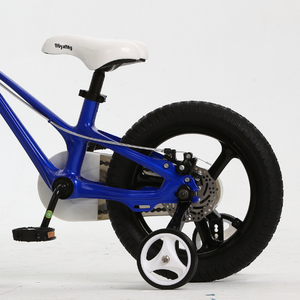 RoyalBaby Kids Bike Galaxy Fleet Plus Magnesium 18'' Blue for 6-9 Years Old (RB16-27)