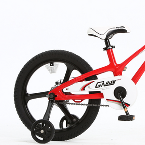 RoyalBaby Kids Bike Galaxy Fleet Plus Magnesium 16'' Red for 4-7 Years Old (RB16-27)