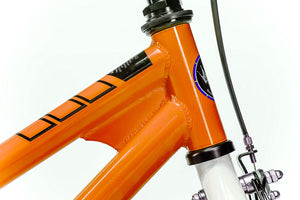 RoyalBaby Kids Bike 12" Orange for 2-5 Years Old BMX Freestyle