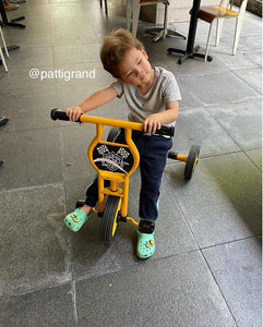 Chaser Bike with Sidecar for Kids 1 in 1 Co-Pilot Trike(E065-HQBB-5189)-Red