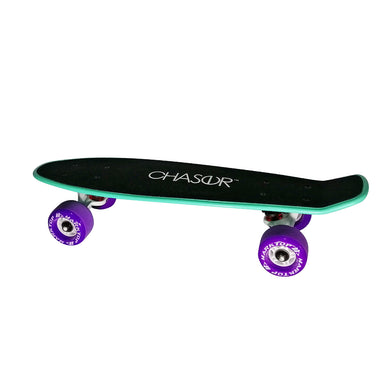 Chaser 22