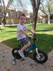 RoyalBaby Kids Bike 12" Blue for 2-5 Years Old BMX Freestyle